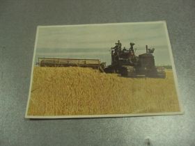 СРСР СССР ^/--/^ открытка кубань кохоз звезда уборка хлеба 1949 №10104 /--/ м ^_^^^ листівка кубань кохоз зірка прибирання хліба 1949 No /--/ 10104 /--/ м - фото фото фото