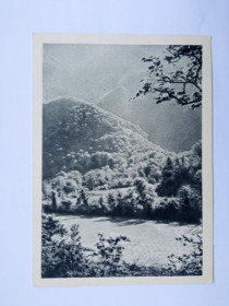 СРСР СССР ^/--/^ Открытое письмо СССР 1955 /--/ г. ДОРОГА НА ОЗЕРО РИЦА. В ДОЛИНЕ РЕКИ БЗИПИ. &amp;quot;ИЗОГИЗ&amp;quot; Ти ^_^^^ Відкритий лист СРСР 1955 /--/ р. Дороги на озера Річка. У долині річки Бзіпі. &amp;quot;ІЗОГІЗ&amp;quot; Ті - фото фото фото