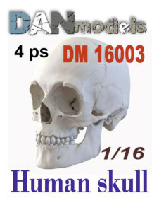 Фігурки, солдатики Фигурки, солдатики ^/--/^ Danmodel 16003 - черепа человека. 4 шт, смола, 3 /--/ D,  1/16 ^_^^^ Danmodel 16003 - черепа людини. 4 шт, смола, 3 /--/ D, 1/16 - фото фото фото