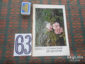 Видання - р. Издания - гг. ^/--/^ Сочинский дендрарий    1973 г. ^_^^^ Сочинський дендрарій 1973 - фото фото фото