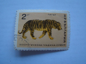 Інші країни Другие страны ^/--/^ Болгария, Михель 2009  (Юговост. Европа), 1619, Зоосад в Софии. ^_^^^ Болгарія, Міхель 2009 (Південна Європа), 1619, Зоосад в Софії. - фото фото фото