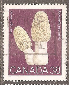 Північна Америка Северная Америка ^/--/^ Канада 1989 Sc.1248 гаш. - фото фото фото