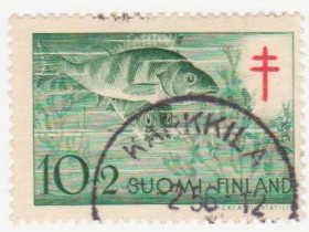 Скандинавія Скандинавия ^/--/^ Финляндия 1955 г. № 450 гашеная ^_^^^ Фінляндія 1955 р. No 450 гашена - фото фото фото