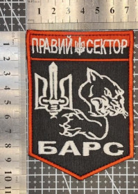 Інше Другое ^/--/^ Шеврон ПС Правый сектор Барс № 22 ^_^^^ Шеврон ПС Правий сектор Барс No 22 - фото фото фото