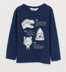 Кофти, реглани Кофты, регланы ^/--/^ Темно-синій реглан h&amp;m на хлопчика 2-4 роки ^_^^^ Темно-синий реглан h&amp;m на мальчика 2-4 года - фото фото фото