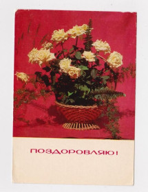 СРСР СССР ^/--/^ ПОЗДОРОВЛЯЮ - ПОЗДРАВЛЯЮ = 1972 г. = КРОПИВНИЦКИЙ  = чистая = тираж 30 тыс. ^_^^^ Вітаю = 1972 = Кропивницький = чистий = тираж 30 тис. - фото фото фото