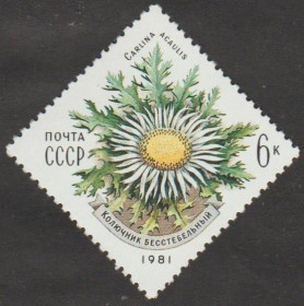 СРСР - СССР - ^/--/^ СССР 1981 флора ^_^^^ СРСР 1981 флора - фото фото фото