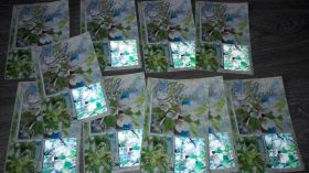 Україна Украина ^/--/^ Открытки Куме Открытка  новые опт розница Кума ^_^^^ Листівки Кумі Листівка нові опт роздріб Кума - фото фото фото