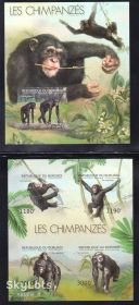 Фауна Фауна ^/--/^ Фауна Бурунди 2012 г MNH - б/з - 2 /--/ а блока - приматы ^_^^^ Фауна Бурунді 2012 р MNH - б/з - 2 /--/ а блоку - примати - фото фото фото