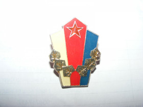 Відзнаки Знаки отличий ^/--/^ Знак &amp;quot;Отличная рота&amp;quot;,Československá lidová armáda, ČSLA ^_^^^ Знак &amp;quot; відмінна рота &amp;quot;,Československá lidová armáda, ČSLA - фото фото фото