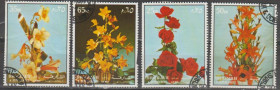 Флора Флора ^/--/^ Шарджа флора квіти ^_^^^ Шарджа флора цветы - фото фото фото