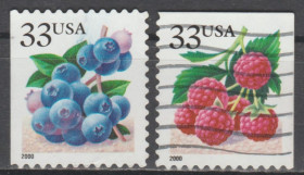 Північна Америка Северная Америка ^/--/^ США 2000 флора ягоды ^_^^^ 2000 флора ягоди - фото фото фото