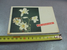 СРСР СССР ^/--/^ открытка поздравляю лилии 1965 смолякова №10934 ^_^^^ Вітаю лілії 1965 смолякова No /--/ 10934 - фото фото фото
