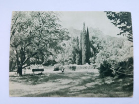 СРСР СССР ^/--/^ Открытое письмо СССР 1955 г. КРЫМ. В АЛУПКИНСКОМ ПАРКЕ. &amp;quot;ИЗОГИЗ&amp;quot;. Фото В. Орлова. ^_^^^ Відкритий лист СРСР 1955 КРИМ. В АЛУПКИНСЬКОМУ ПАРКУ. &amp;quot;ІЗОГІЗ &amp;quot; Фото В. Орлова. - фото фото фото