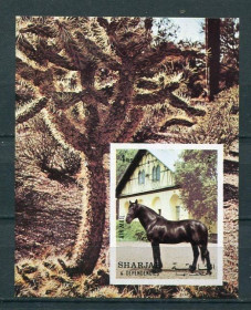 Фауна Фауна ^/--/^ Шарджа Sharjah 1972 Mi Bl 116 Horses MS IMPERF MNH - фото фото фото