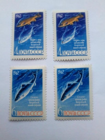 СРСР - СССР - ^/--/^ СССР 1962 г. РЫБЫ. САЗАН И ЛЕЩ (4 коп), СЕМГА (6 коп), Сол. 2732,2733, чистые, 2 серии, с клеем. ^_^^^ СРСР 1962 р. Риби. САЗАН І ЛЕЩ (4 коп), СЕМГА (6 коп), Сол. 2732,2733, чисті, 2 серії, з клеєм. - фото фото фото