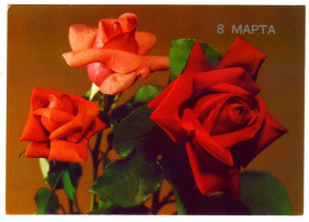 СРСР СССР ^/--/^ Почтовая карточка. 8 Марта. 1989 ^_^^^ Поштова картка. 8 березня. 1989 - фото фото фото