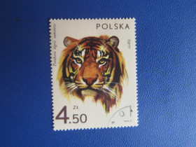 Фауна Фауна ^/--/^ Марка Польща 1972 фауна тигр головна марка серії гаш ^_^^^ Марка Польша 1972 фауна тигр главная марка серии гаш - фото фото фото