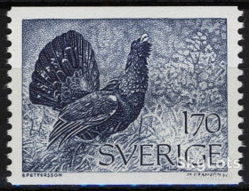 Скандинавія Скандинавия ^/--/^ Швеция 1975 фауна птицы стандарт Mi 906 MNH ^_^^^ Швеція 1975 фауна птиці стандарт Mi 906 MNH - фото фото фото
