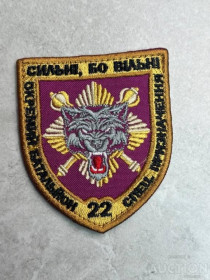 Інше Другое ^/--/^ Шеврон 22 Окремий Батальйон Спеціального Призначення № 291 ^_^^^ Шеврон 22 Отдельный Батальон Специального назначения No 291 - фото фото фото