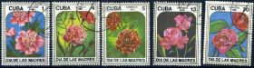 Флора Флора ^/--/^ Куба. Цветы 1985 г. ^_^^^ Куба. Квіти 1985 - фото фото фото