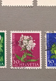 Флора Флора ^/--/^ Швейцария Флора Цветы 1960 ^_^^^ Швейцарія Флора Квіти 1960 - фото фото фото
