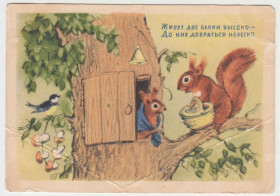 СРСР СССР ^/--/^ Живут две белки высоко 1954 Ушакова Р /--/ 11 /--/ А ^_^^^ Живуть дві білки високо 1954 Ушакова Р /--/ 11 /--/ А - фото фото фото