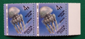 Фауна Фауна ^/--/^ СССР 1991 г - Фауна Черного моря. Медуза корнерот, негаш ^_^^^ СРСР 1991 — Фауна Чорного моря. Медуза корнерот, негаш - фото фото фото