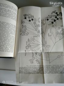 Видання - р. Издания - гг. ^/--/^ Руководство по физиологии эндокринной системы ^_^^^ Керівництво з фізіології ендокринної системи - фото фото фото
