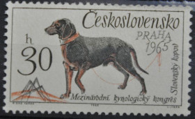 Інше Другое ^/--/^ Чехословакия Фауна Собаки 1965 ^_^^^ Чехословаччина Фауна Собаки 1965 - фото фото фото