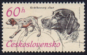 Чехословаччина Чехословакия ^/--/^ Чехословаччина 1973 - 50 років мисливського собаківництва  (Г) ^_^^^ Чехословакия 1973 - 50 лет охотничьего собаководства (Г) - фото фото фото