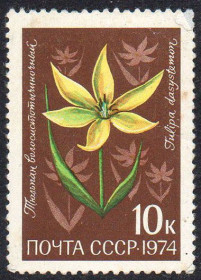 СРСР - СССР - ^/--/^ СРСР 1974 - Квіти альпійських лугів Середньої Азії ** ^_^^^ СССР 1974 - Цветы альпийских лугов Средней Азии ** - фото фото фото