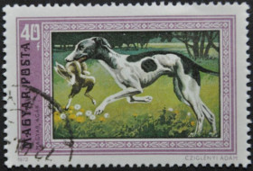 Інше Другое ^/--/^ Венгрия Фауна Собаки 1972 ^_^^^ Угорщина Фауна Собаки 1972 - фото фото фото