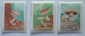 КНДР КНДР ^/--/^ КНДР Северная Корея 1968 Грибы, MNH  (КЦ=108 евро) ^_^^^ КНДР Північна Корея 1968 Гриби, MNH (КЦ = 108 євро) - фото фото фото