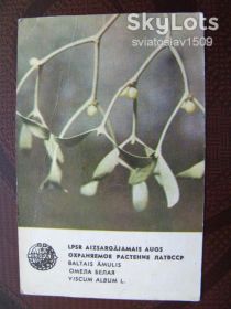 Календарі Календари ^/--/^ календарик СССР  (1981 /--/ г ) ^_^^^ календарик СРСР (1981) - фото фото фото
