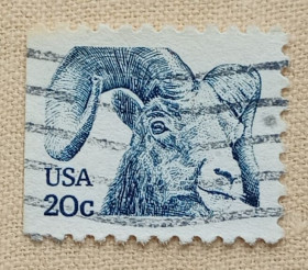 Фауна Фауна ^/--/^ США 1982 г - Горный баран  (Ovis canadensis), гаш ^_^^^ 1982 — Гірський баран (Ovis canadensis), гаш - фото фото фото