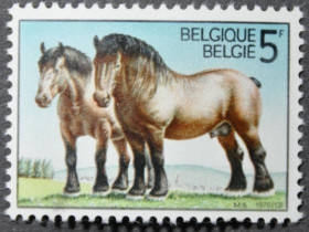 Інше Другое ^/--/^ Бельгия Фауна Лошади Кони 1976 MNH ^_^^^ Бельгія Фауна Лошаді Коні 1976 MNH - фото фото фото