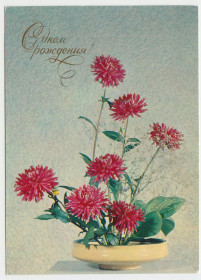 СРСР СССР ^/--/^ С днем рождения Цветы Квіти 1976 Круцко P /--/ 11 /--/ B ^_^^^ С днем рождения Цветы Цветы 1976 Круцко P /--/ 11 /--/ B - фото фото фото