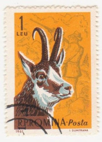Румунія Румыния ^/--/^ Румыния 1961 г №  2001 гашеная ^_^^^ Румунія 1961 р. No 2001 гашена - фото фото фото