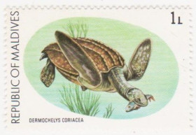 Мальдіви Мальдивы ^/--/^ Мальдивы  1980 г.№ 863 ** ^_^^^ Мальдіви 1980 No 863 ** - фото фото фото