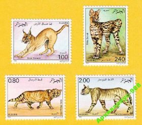 Фауна Фауна ^/--/^ 1986 АЛЖИР Фауна Кошки Животные Природа Полн.Серия ^_^^^ 1986 АЛЖИР Фауна Кішки Тварини Природа Полн.Серія - фото фото фото