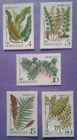 СРСР - СССР - ^/--/^ СССР 1987 флора цветы папоротники СК 5781-5785 MNH ^_^^^ СРСР 1987 флора квіти папороті СК 5781-5785 MNH - фото фото фото