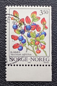 Флора Флора ^/--/^ Норвегия 1995 г - Черника обыкновенная  (Vaccinium myrtillus), гаш ^_^^^ Норвегія 1995 — Чорниця звичайна (Vaccinium myrtillus), гаш - фото фото фото